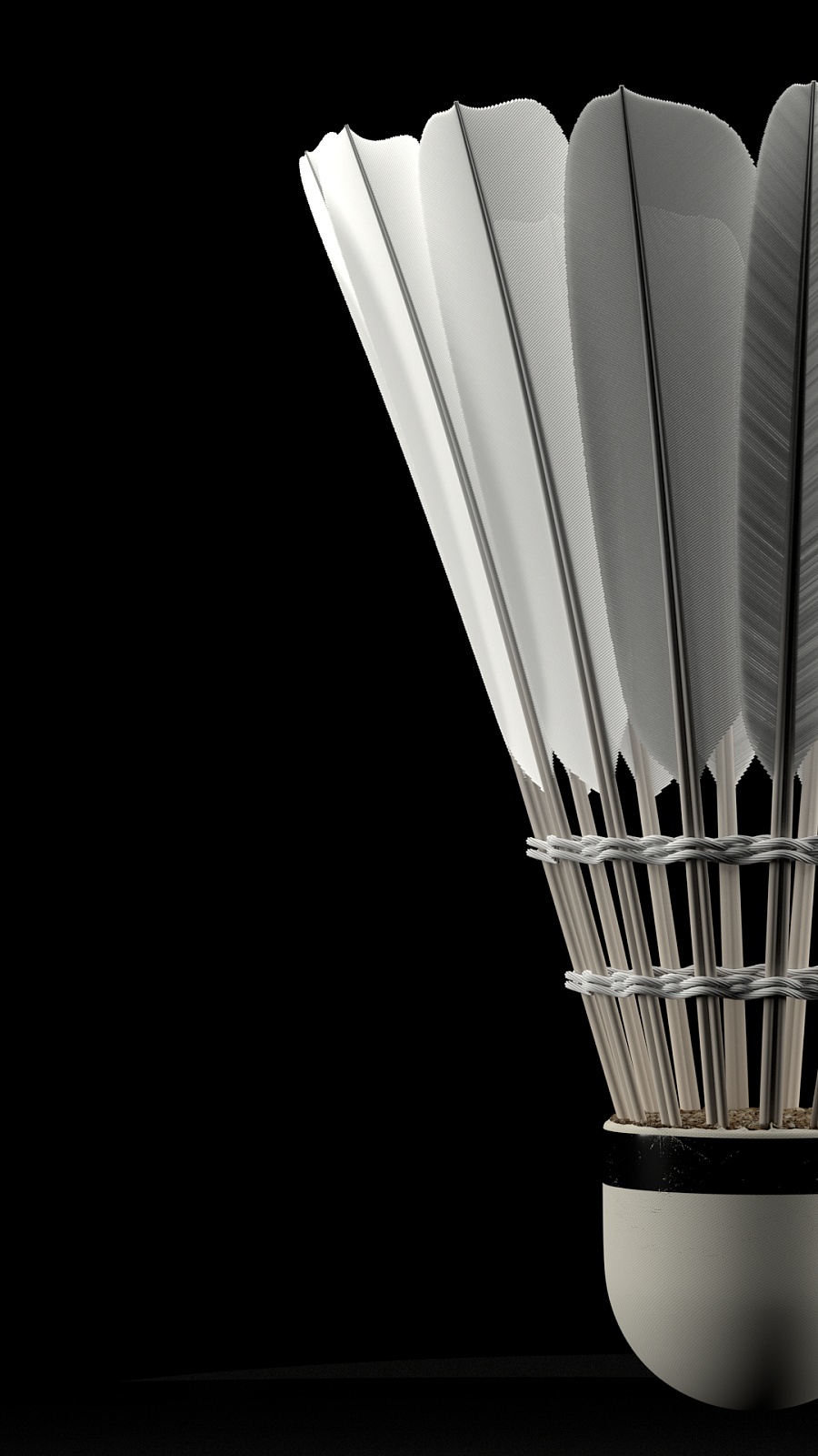 识的积累 识的积累