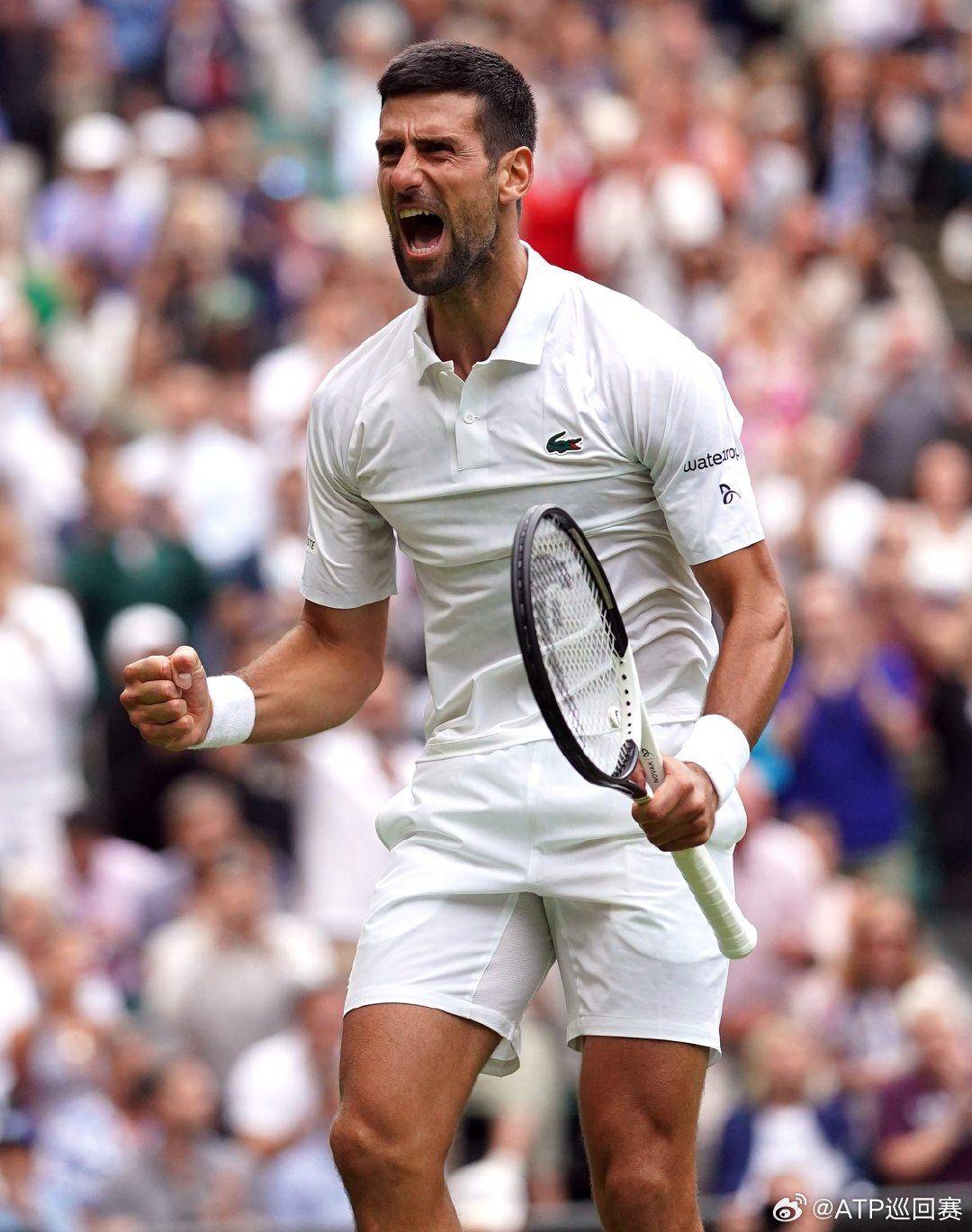 球艺术与比 球艺术与比